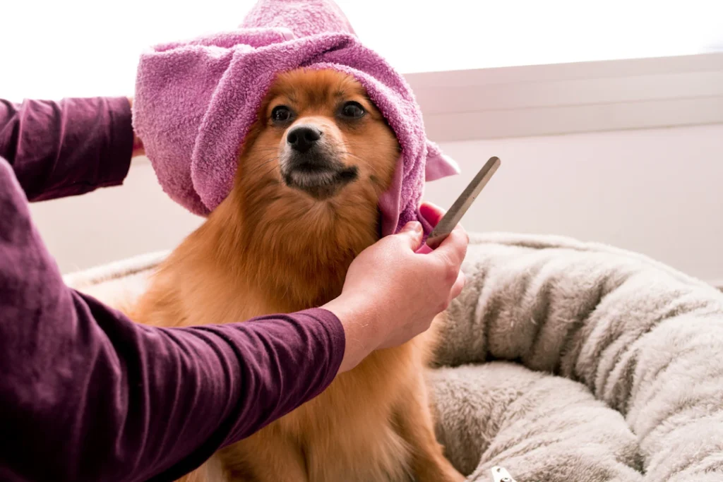 Cachorro envolvido em uma toalha durante cuidados de higiene.